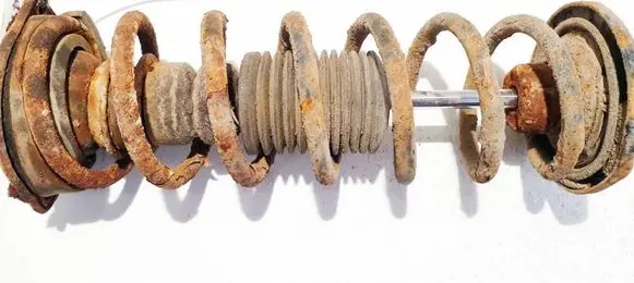Rear coil spring