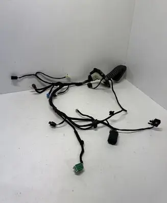 Front door wiring loom