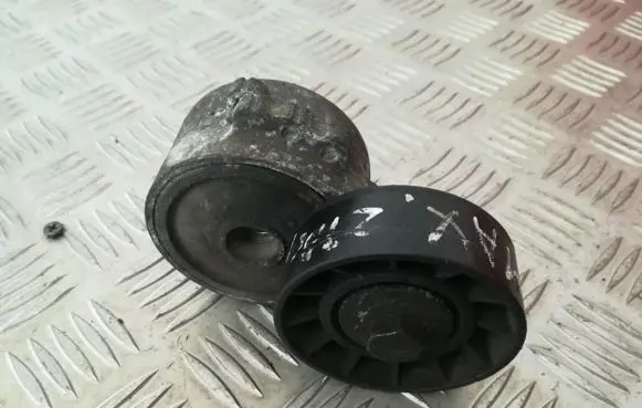 Peugeot 406 Generator/alternator belt tensioner