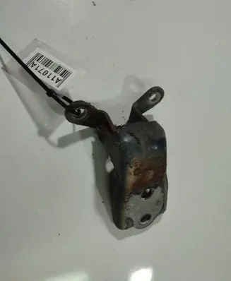 Chevrolet Captiva Rear door lower hinge 