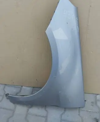 Mercedes-Benz B W245 Fender BLOTNIKLEWYW245
