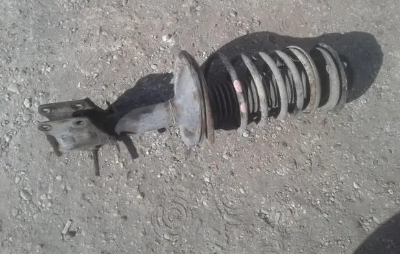 Fiat Doblo Front shock absorber with coil spring