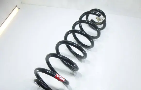 Rear coil spring