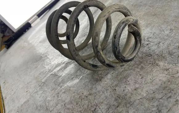Rear coil spring