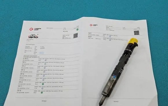 Renault Scenic II - Grand scenic II Fuel injector EJBR02101Z IMPRK1404583