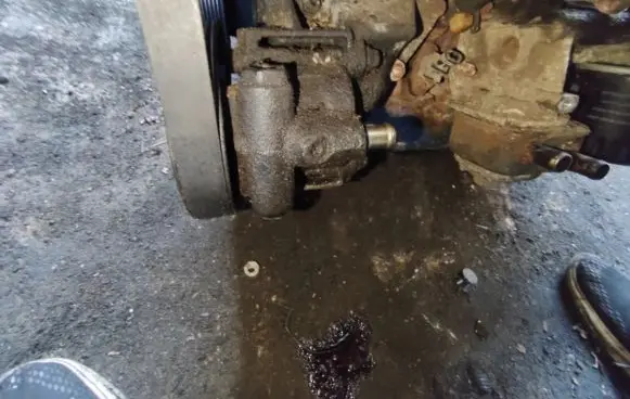 Renault Laguna I Power steering pump