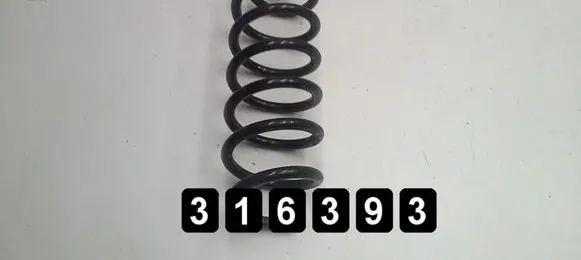 Renault Kadjar Rear coil spring