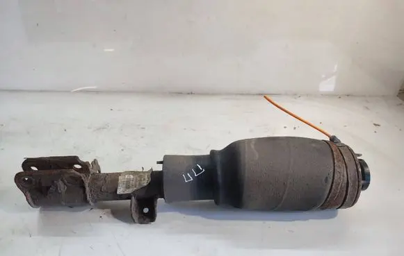 Land Rover Range Rover L322 Front air suspension shock absorber AH4218B036AC
