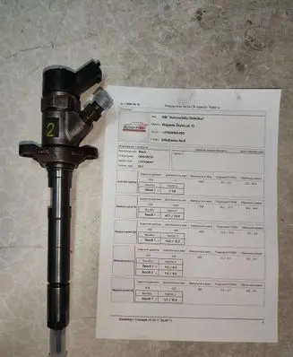 Volvo V50 Fuel injector 0445110259