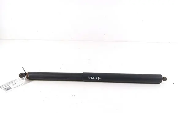 Tailgate strut