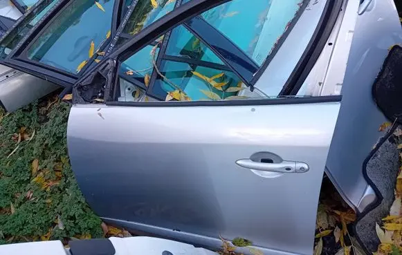 Renault Megane III Front door