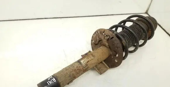 Skoda Roomster (5J) Front shock absorber with coil spring 6Q0417 16L9B3