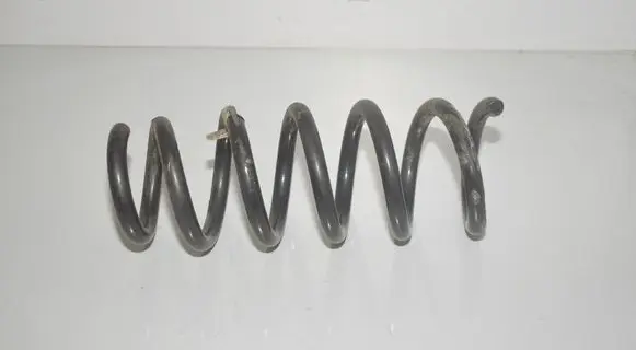 Rear coil spring