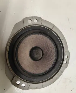 Rear door speaker