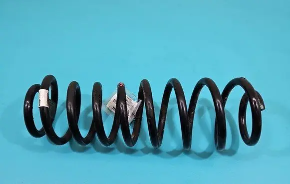 Rear coil spring