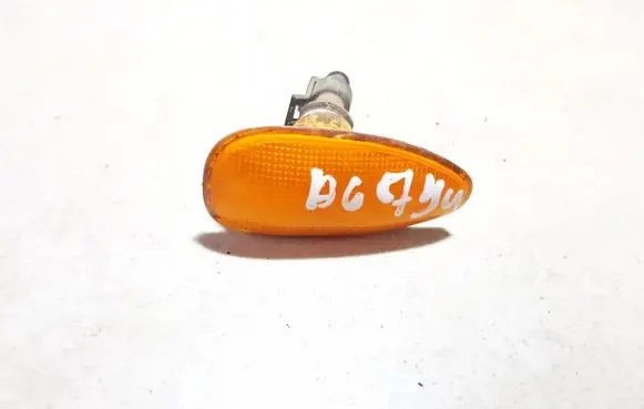 Front fender indicator light