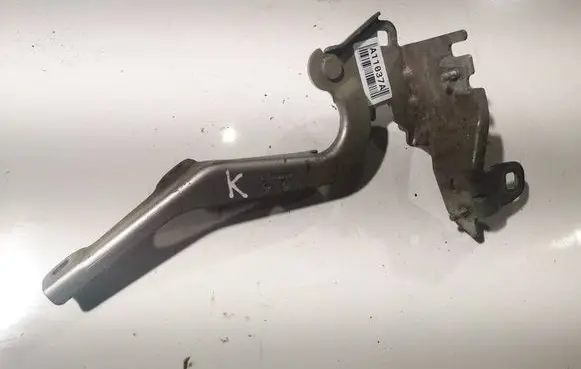 Renault Laguna III Engine bonnet/hood hinges 
