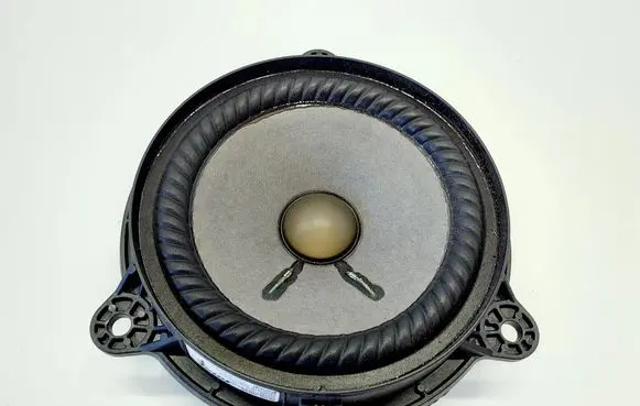 Nissan Leaf II (ZE1) Front door speaker 281563NF0A