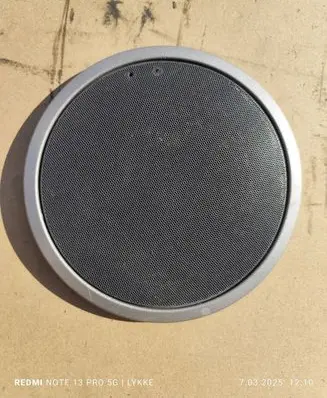 Renault Espace - Grand espace IV Rear door speaker cover trim 