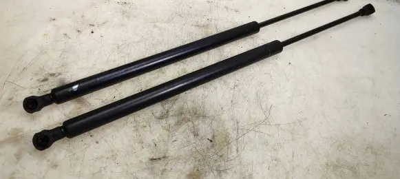 Tailgate/trunk strut/damper