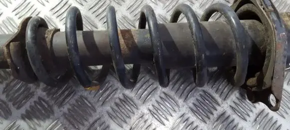 Rear coil spring