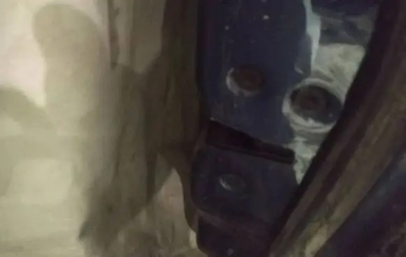 Ford Focus C-MAX Front door lock