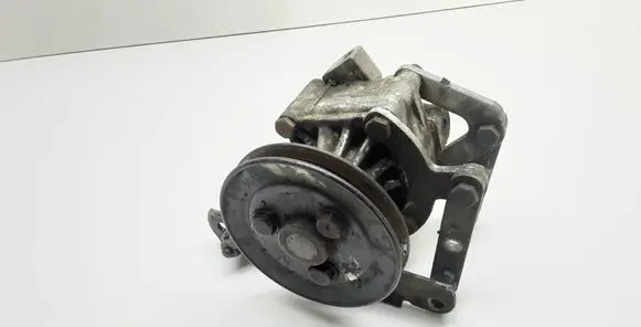 BMW 5 E34 Power steering pump 1133386