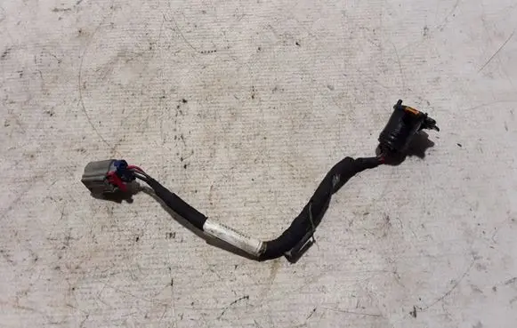 Chrysler Pacifica Other wiring loom 38018727
