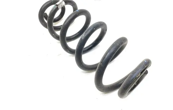 Rear coil spring