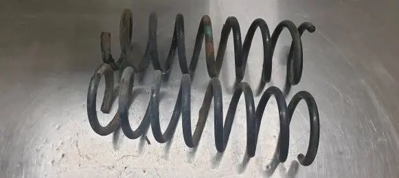 Ford Focus Rear coil spring