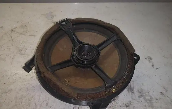 Front door high frequency speaker