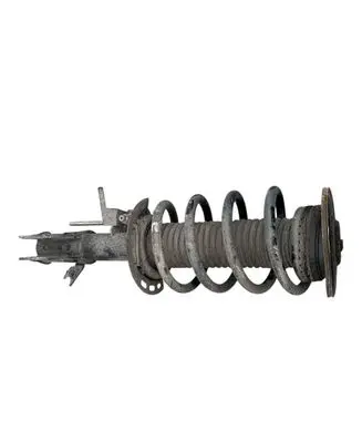Ford S-MAX Front shock absorber with coil spring j1gc18045