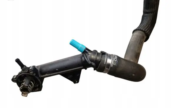 Thermostat/thermostat housing
