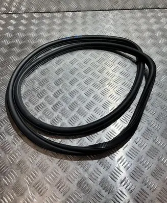 Audi A1 Front door rubber seal VW22247