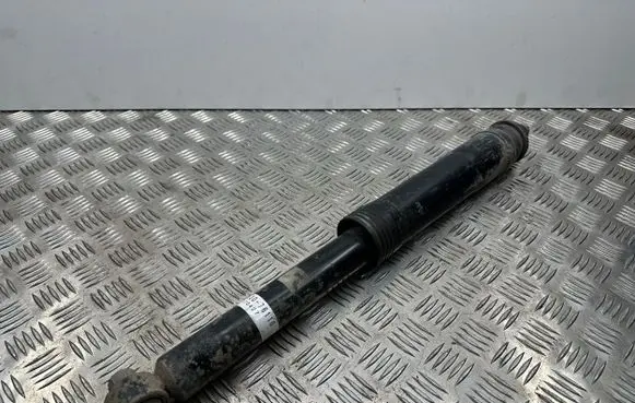 Lexus CT 200H Rear shock absorber/damper 4853076110