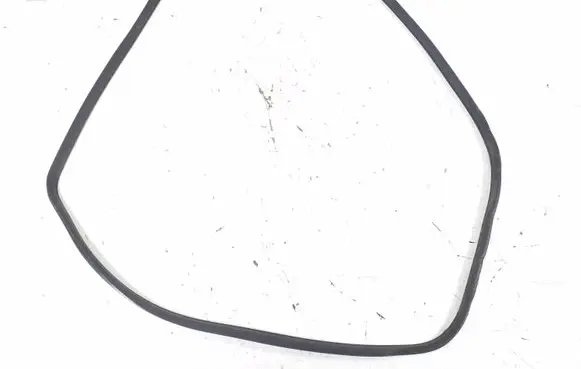 Rear door rubber seal (on body)
