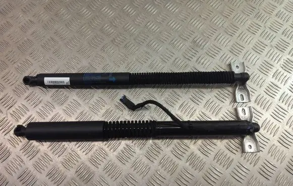 BMW X3 G01 Tailgate strut 7397322