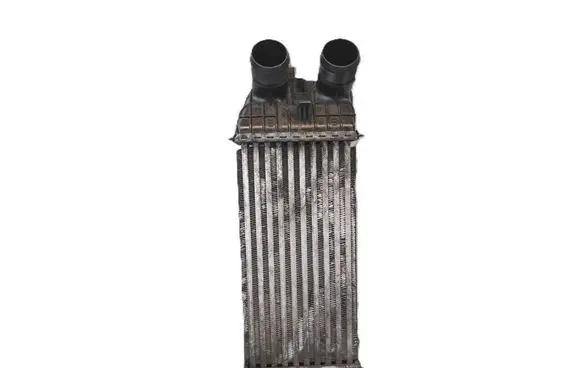 Citroen DS3 Intercooler radiator P9004003 9684311680