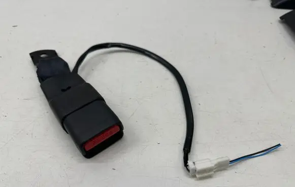 Nissan Leaf II (ZE1) Rear seatbelt buckle 6262419