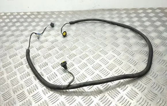 Renault Laguna III Other wiring loom 20102311