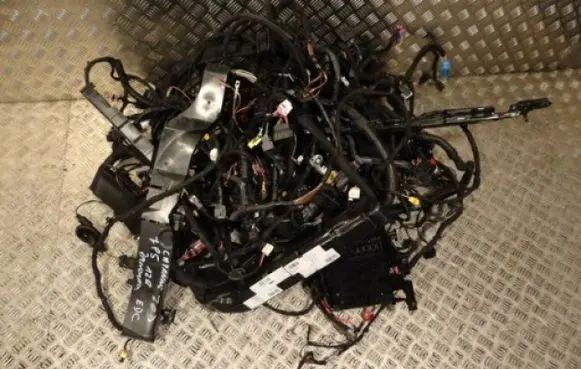 Porsche Cayenne (9Y0 9Y3) Wiring harness 