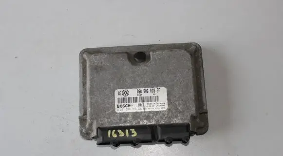 Volkswagen Golf IV Engine control unit/module 06A906018EF 26SA6040 0261206324