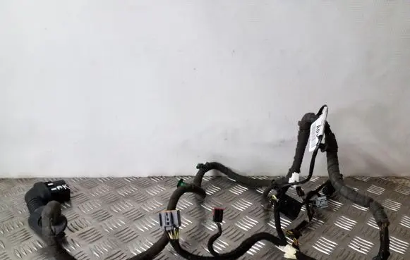 Front door wiring loom