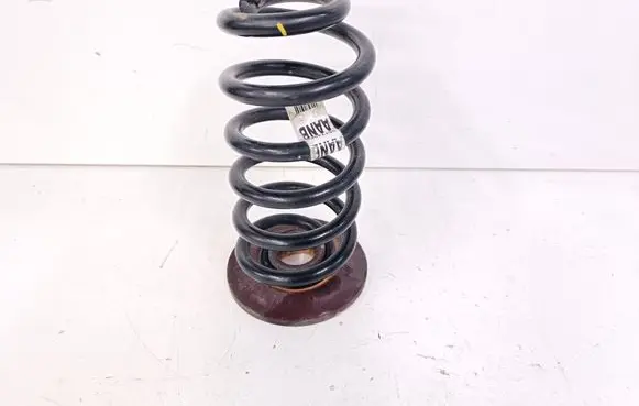 Buick Encore I Rear coil spring 95174968