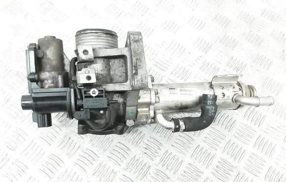 EGR valve cooler