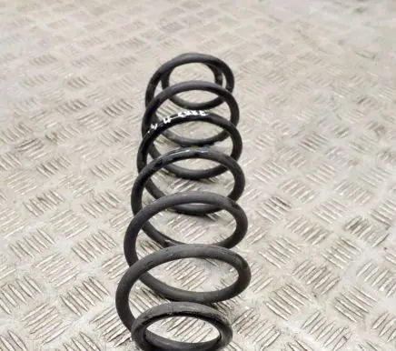 Opel Crossland X Rear coil spring