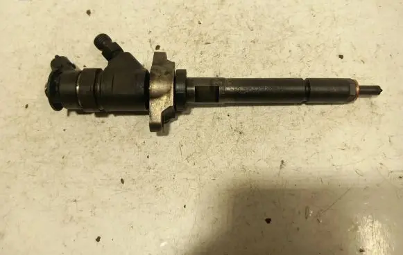Citroen C4 I Fuel injector 0445110311
