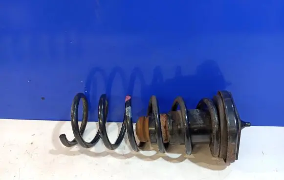 Volvo S60 Rear coil spring 31340758
