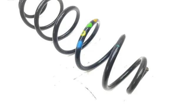 Rear coil spring