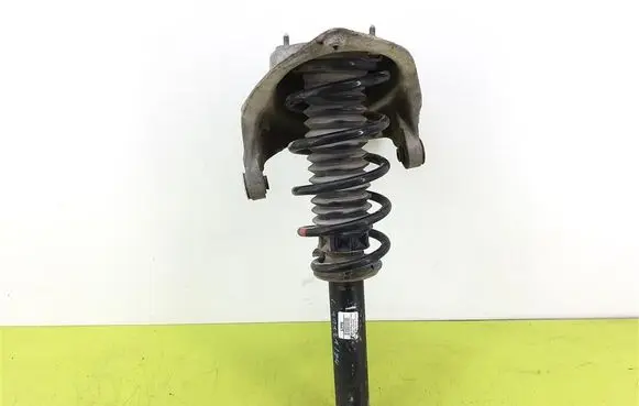 Peugeot 407 Front shock absorber with coil spring